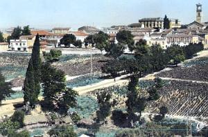 GUELMA 10